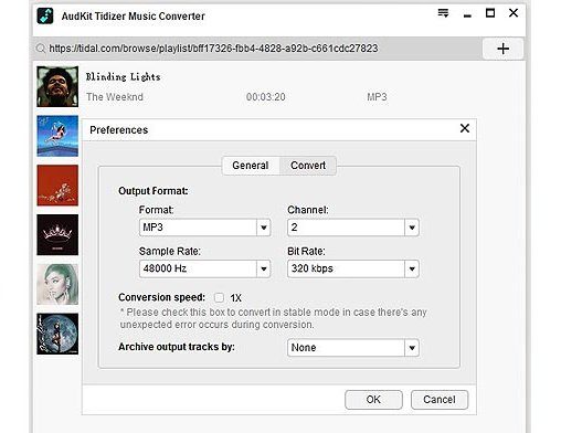 Download AudKit Tidizer Music Converter Full 2024