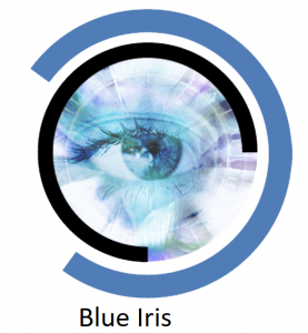 Blue Iris 5.7.9.4 Crack + Activation Code Free Download 2024