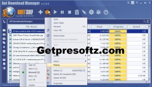 Ant Download Manager Pro 2.10.5 Crack + Serial Key [New-2024]