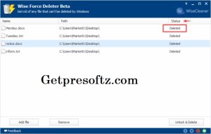 Wise Force Deleter 1.5.3.54 Crack With Serial Key [2024]