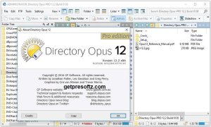 Directory Opus Pro 12.32 Crack License Key [Updated-2024]