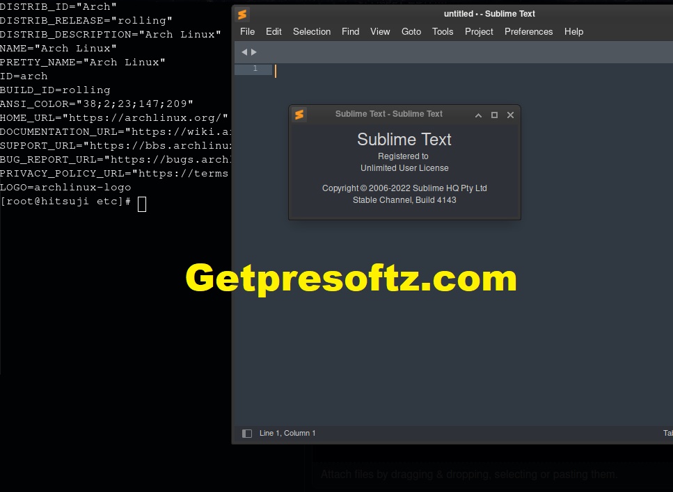 Download Sublime Text Full Activated 2024