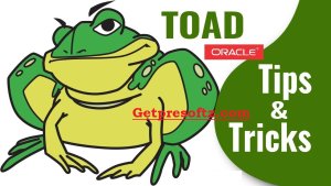 Toad for Oracle 16.2 Crack With License Key Free [ New 2024]